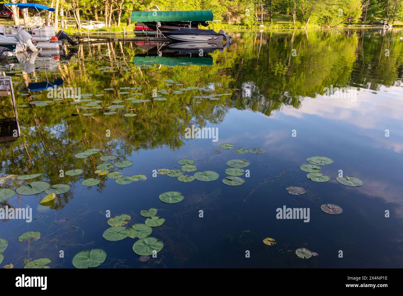 Boote und Bäume spiegeln sich im Wasser eines oberen Wisconsin Sees in der Abendsonne. Stockfoto