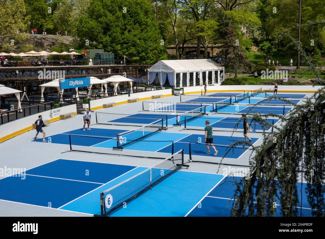 Spieler genießen Pickleball Courts in der Wollman Eisbahn im Central Park an einem Frühlingnachmittag, 2024, New York City, USA Stockfoto