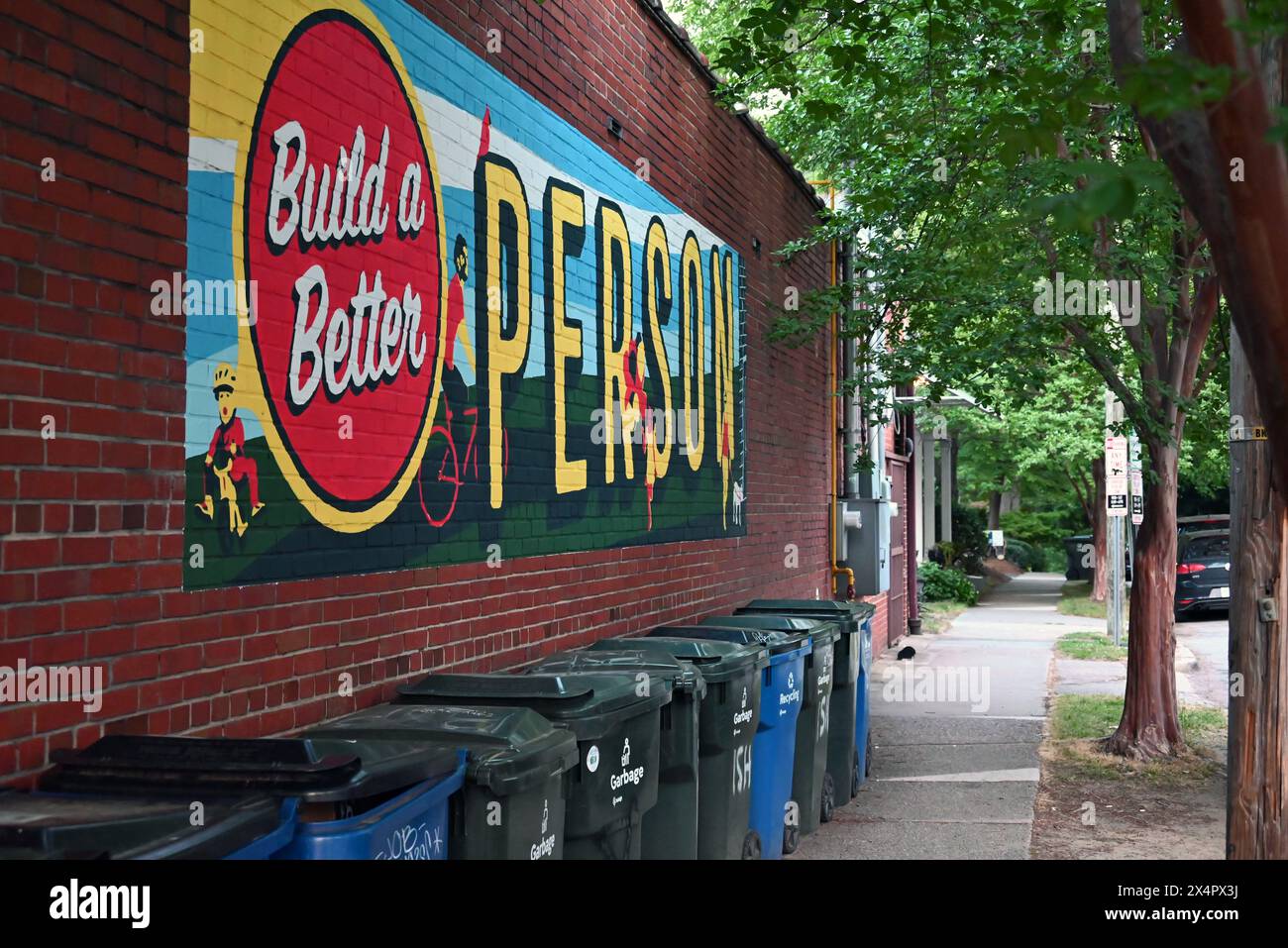 Wandgemälde über Mülltonnen in einem Raleigh Viertel. Stockfoto