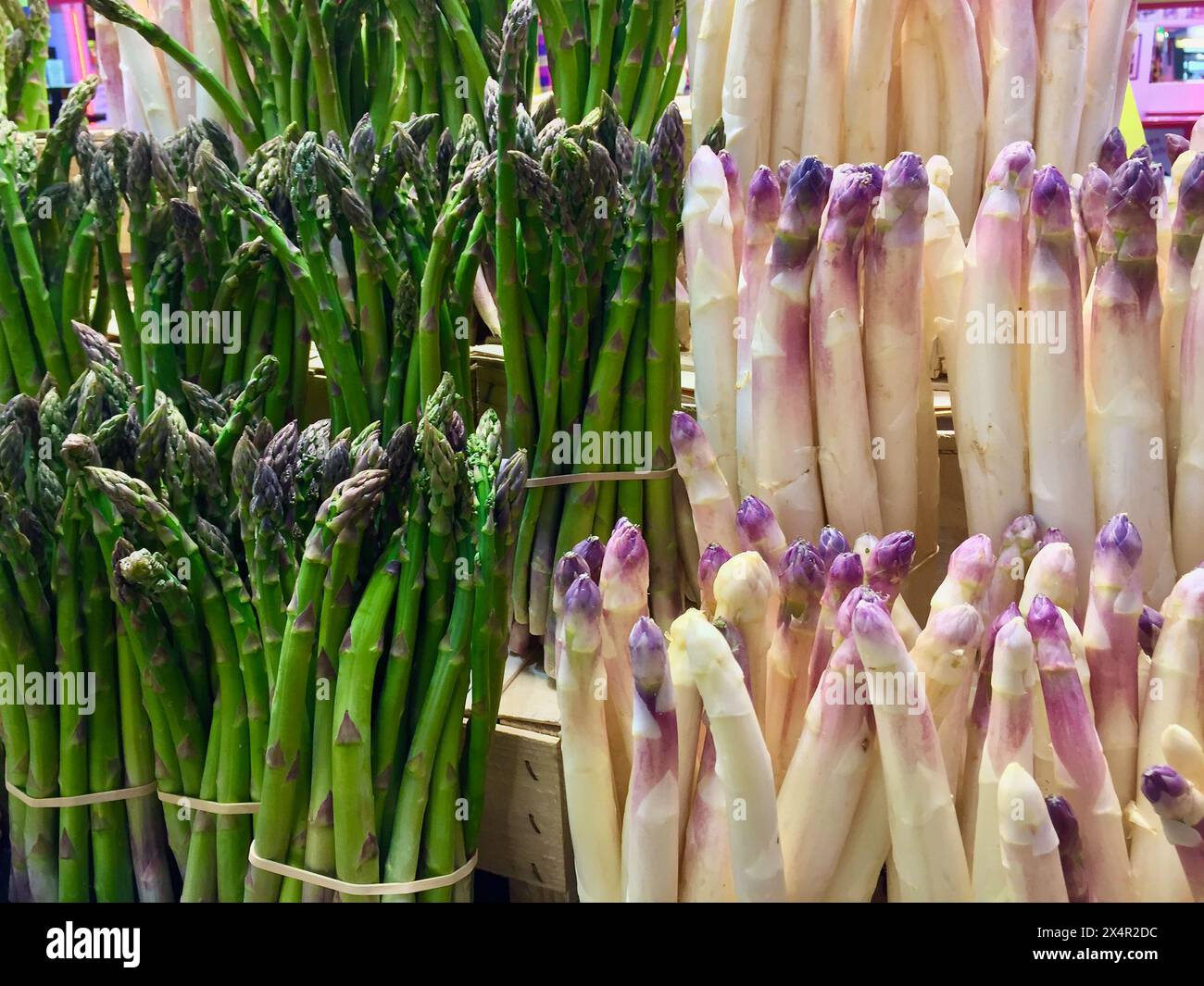 Frischer ökologisch angebauter grüner und weißer Spargel zum Verkauf auf dem Bauernmarkt. Stockfoto