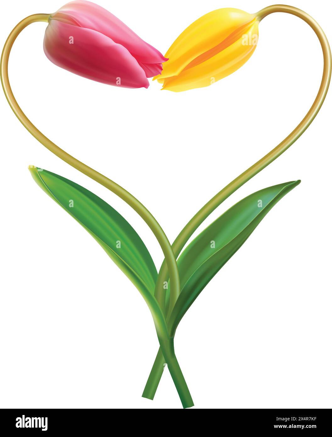 Herz aus zwei Tulpen Idee für den Valentinstag. Realistische 3D-Darstellung des Vektors Stock Vektor