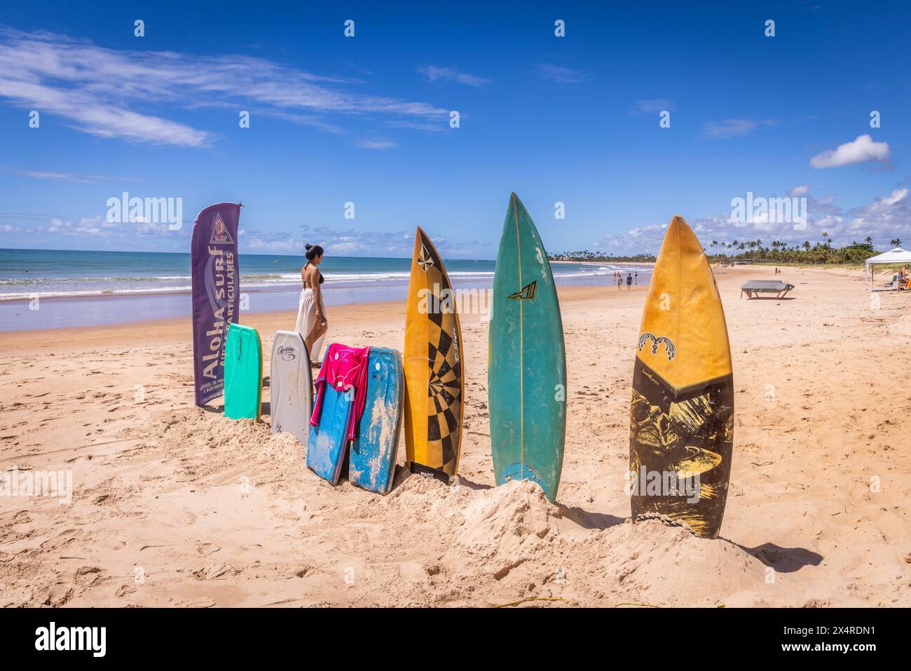 Surfbretter am Itacimirim Beach, Praia de Itacimirim, Salvador, Bahia, Brasilien Stockfoto