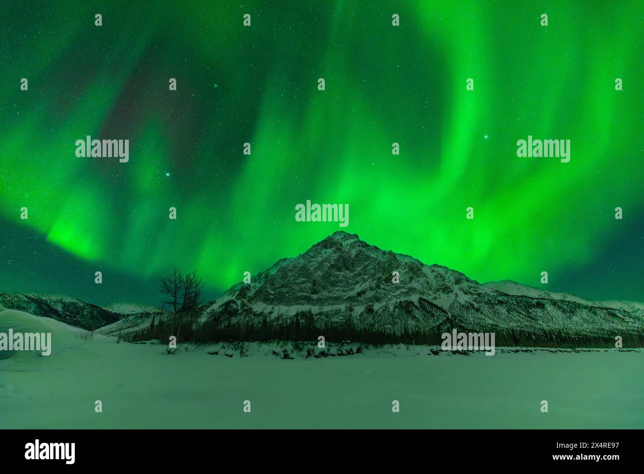 Aurora Borealis am Dillon Mountain Peak, Coldfoot, Alaska, USA Stockfoto