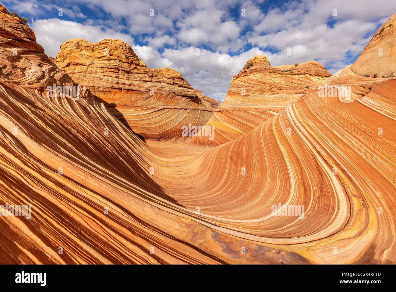 Die Felsformation Wave, Coyote Buttes North am Paria Canyon, Vermilion Cliffs National Monument, Arizona, USA Stockfoto