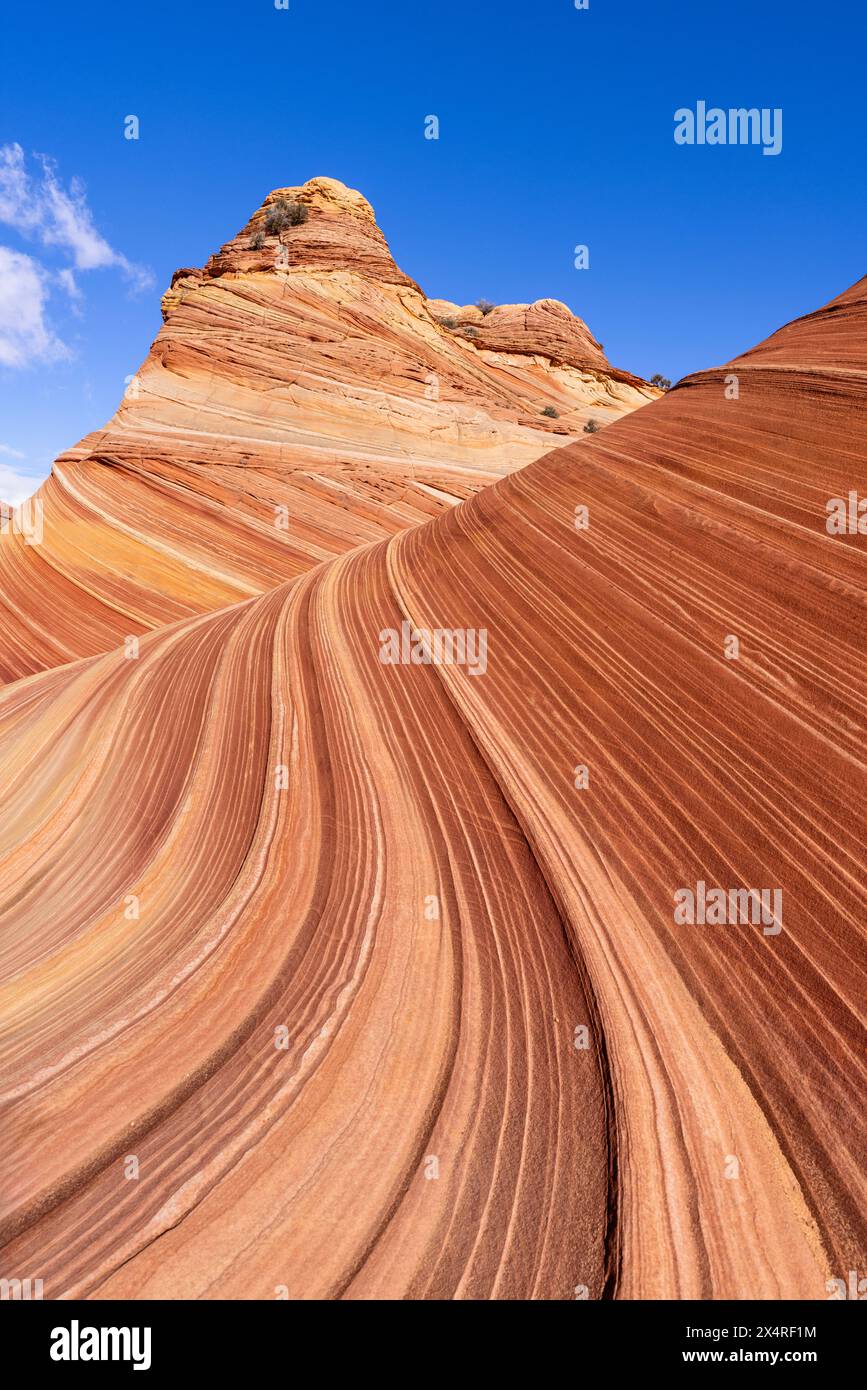 Die Felsformation Wave, Coyote Buttes North am Paria Canyon, Vermilion Cliffs National Monument, Arizona, USA Stockfoto