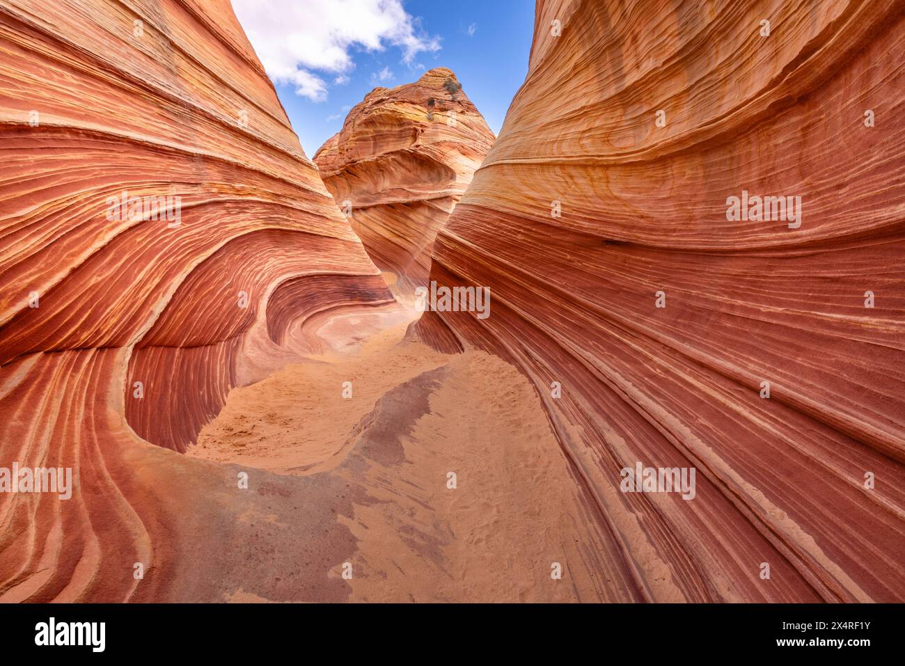 Die Felsformation Wave, Coyote Buttes North am Paria Canyon, Vermilion Cliffs National Monument, Arizona, USA Stockfoto
