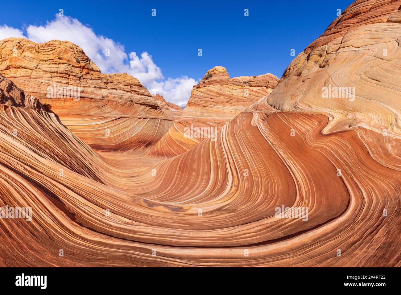 Die Felsformation Wave, Coyote Buttes North am Paria Canyon, Vermilion Cliffs National Monument, Arizona, USA Stockfoto