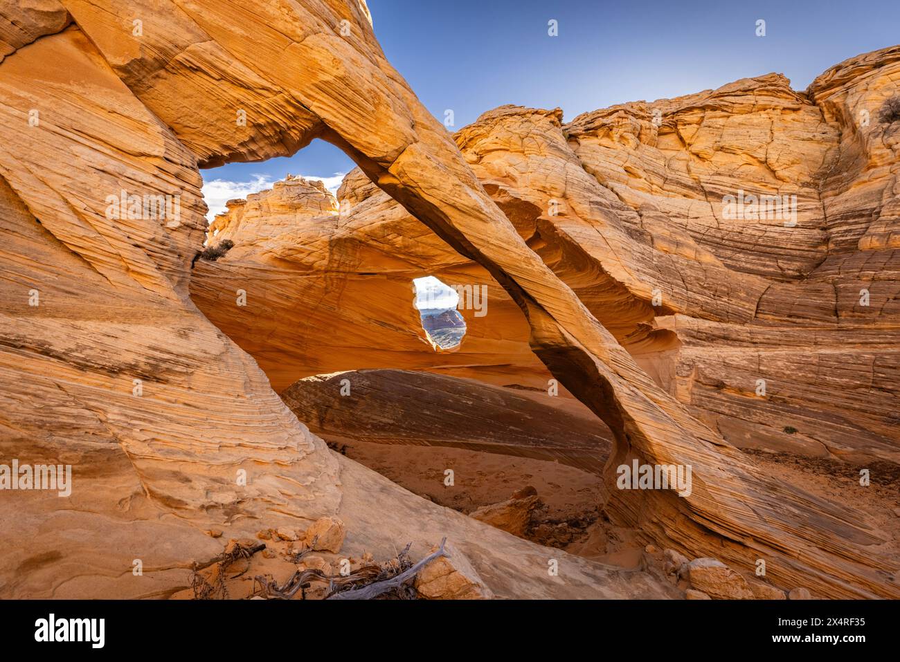 Melody Arch am Marble Canyon bei Sonnenaufgang in der Nähe der Wave, Coyote Buttes North am Paria Canyon, Vermilion Cliffs National Monument, Arizona, USA Stockfoto