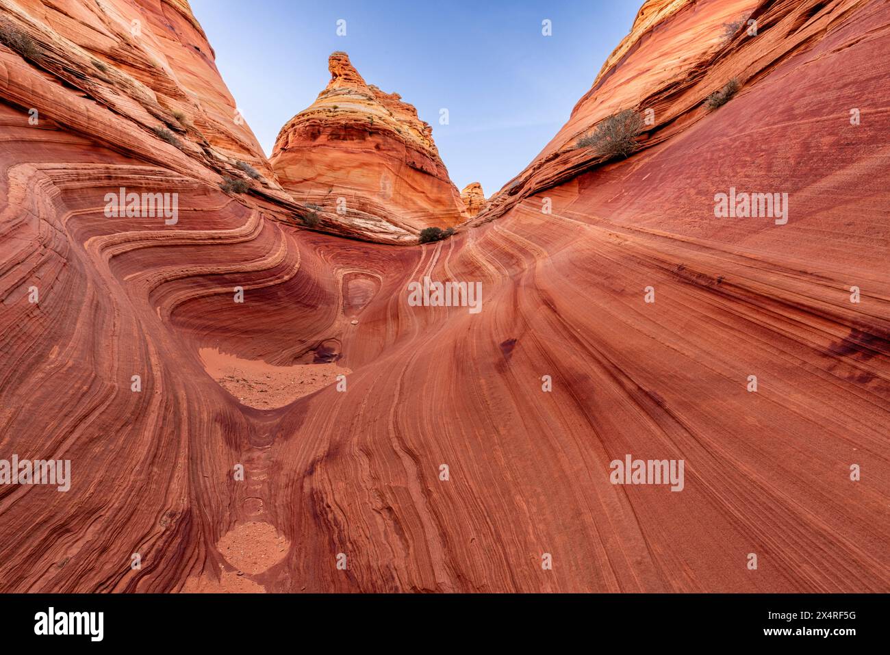 Wellenfelsenformation bei Sonnenuntergang, South Coyote Buttes am Paria Canyon, Vermilion Cliffs National Monument, Arizona, USA Stockfoto