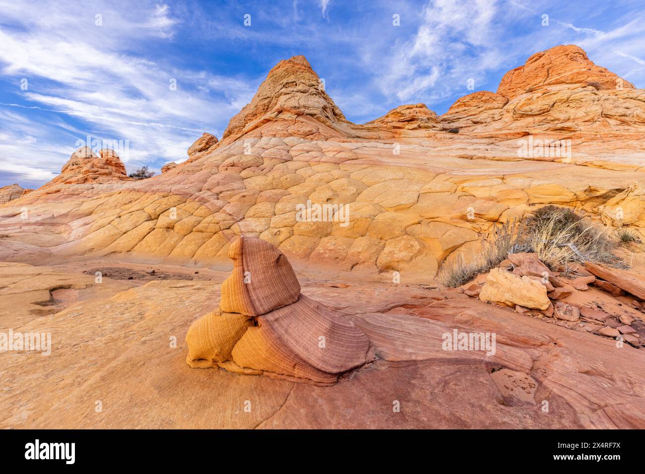 Half and Half Rock am South Coyote Buttes am Paria Canyon, Vermilion Cliffs National Monument, Arizona, USA Stockfoto