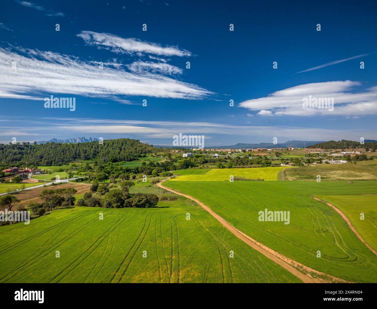 Luftaufnahme der grünen Felder im Frühling in Pla de Bages, in der Nähe von Sant Fruitós de Bages (Barcelona, ​​Catalonia, Spanien) ESP: Vista aérea de campos verdes Stockfoto