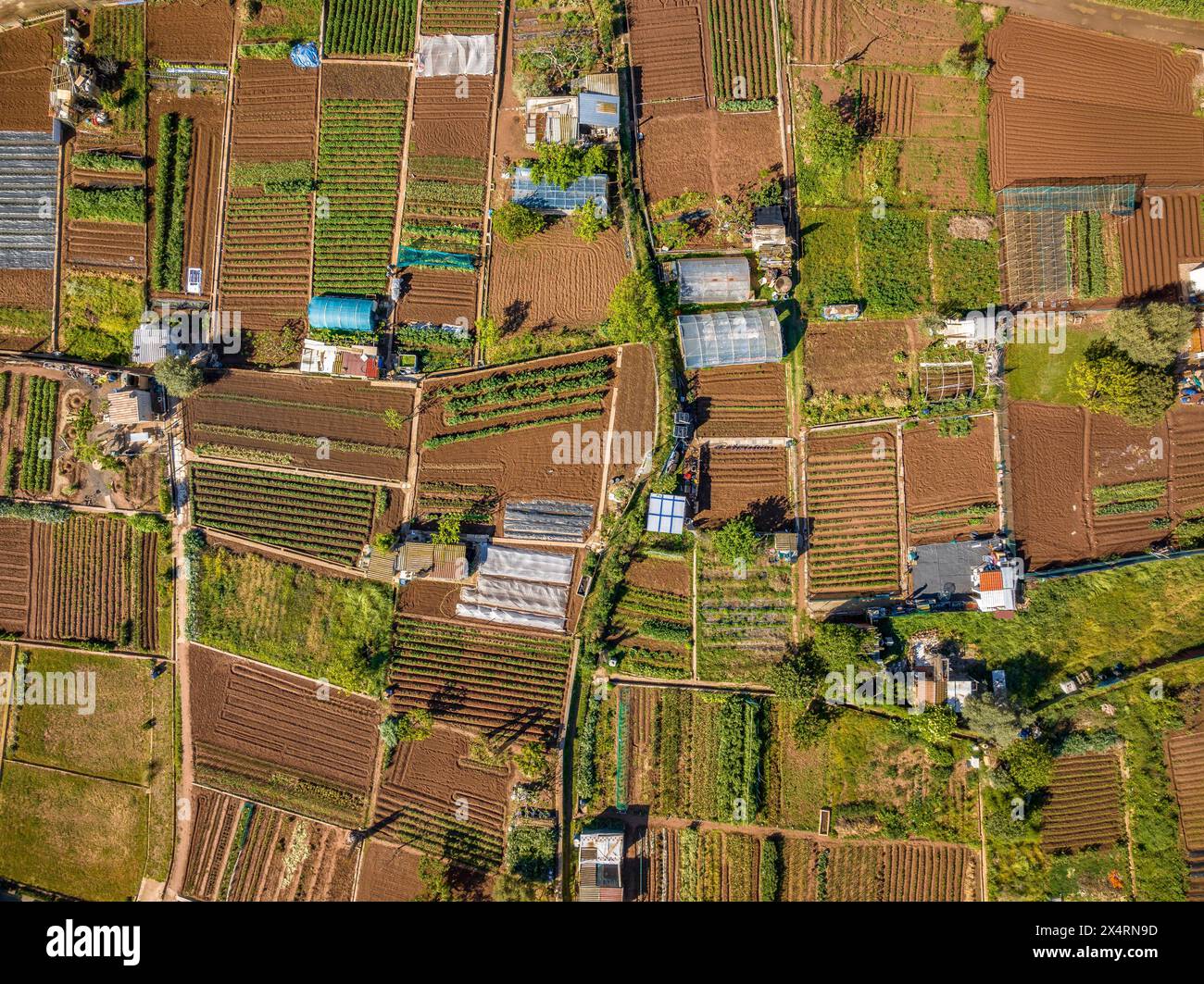 Luftaufnahme der Obstgärten und Felder im Frühjahr in der Nähe von Sant Fruitós de Bages (Barcelona, ​​Catalonia, Spanien) ESP: Vista aérea de huertos y campos, España Stockfoto