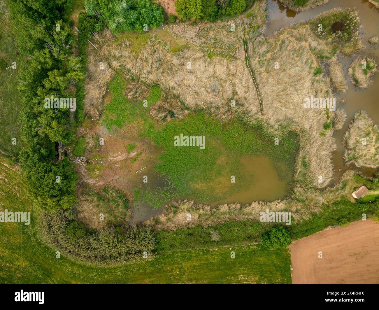 Luftaufnahme der Feuchtgebiete von Aiguamolls de la Bòbila in Santpedor (Bages, Barcelona, ​​Catalonia, Spanien) Stockfoto