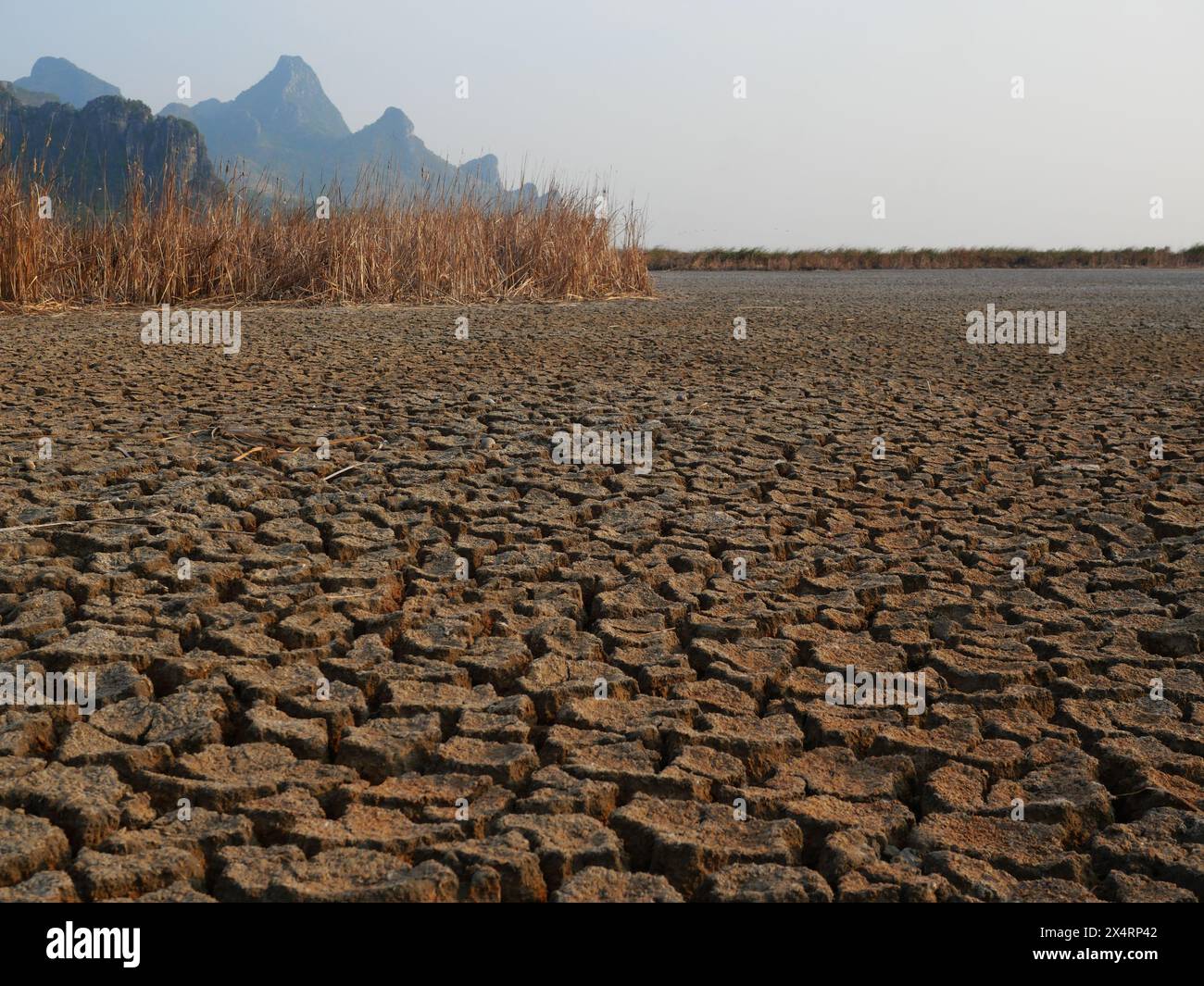 Verbrannte Erde Erde Dürre Wüstenlandschaft dramatisch mit Berg im Hintergrund, Global Warming Konzept, Feuchtgebiet trocken und zerrissene Land Stockfoto