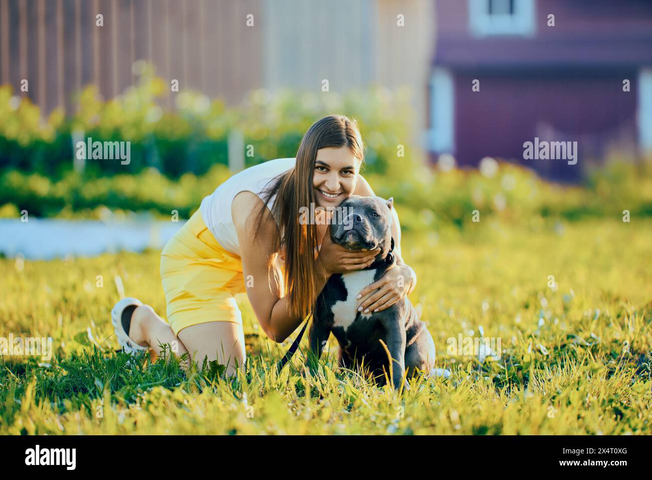 Die Besitzerin dreht den Hundekopf zur Kamera, um gemeinsame Fotos zu machen, sitzt am Sommerabend auf dem Rasen in der Nähe des Landhauses, die junge kaukasische Frau fotografiert mit einem A Stockfoto