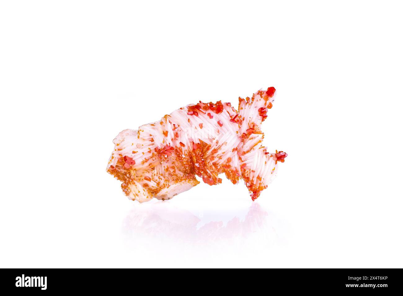 Orange / roter Vanadinit auf weißem Baryt, aus Mibladen, Marokko. Fotografie isoliert auf weißem Schwarzgrund. Hintergrund für Makrodetails. Nahaufnahme grobe ra Stockfoto