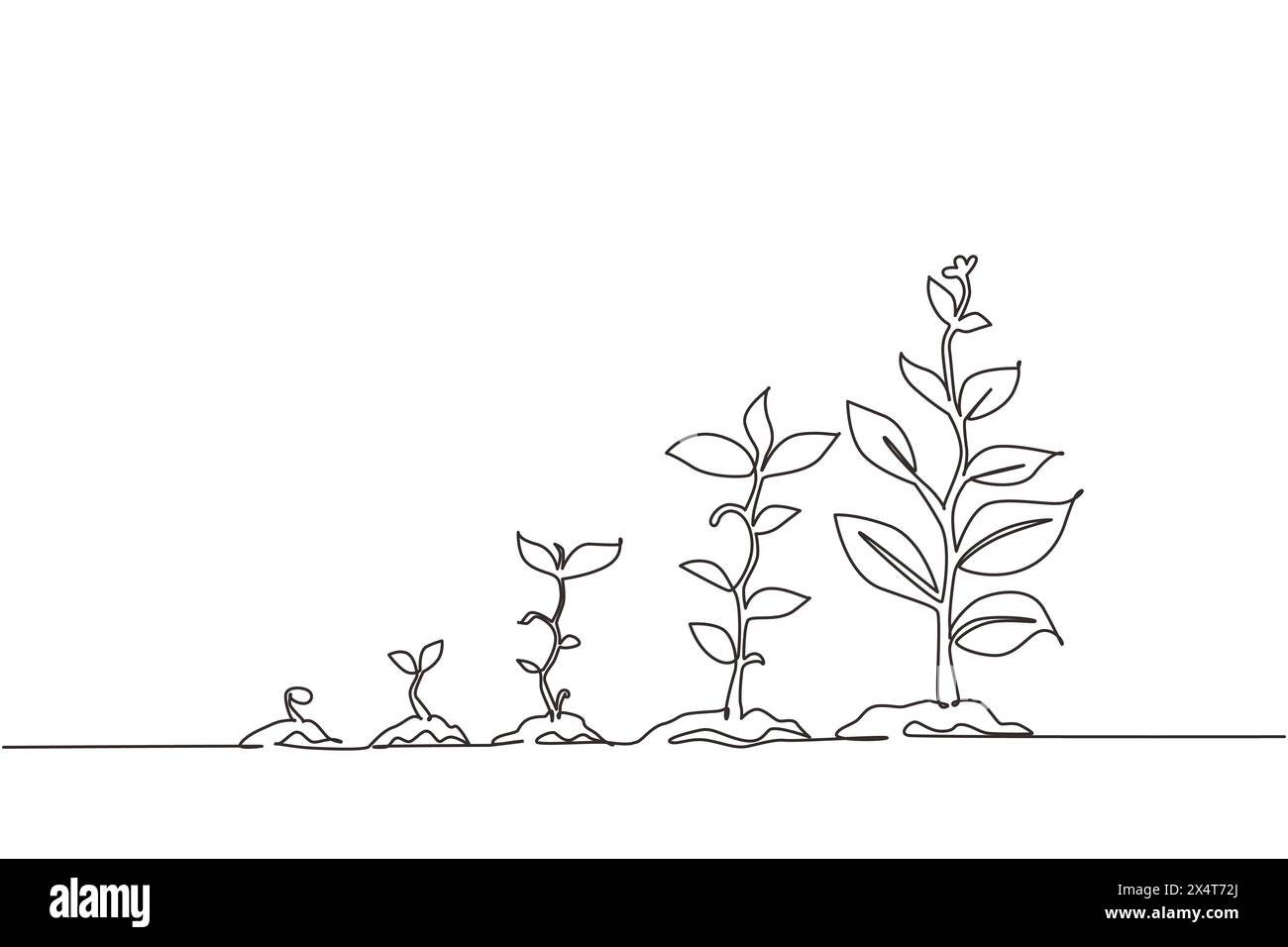 Infografik der durchgehenden einzeiligen Zeichnung zum Pflanzen eines Baumes. Samen sprießen im Boden. Keimling-Gartenanlage. Sprossen, Pflanzen, Bäume wachsen Ikonen. Singen Stock Vektor