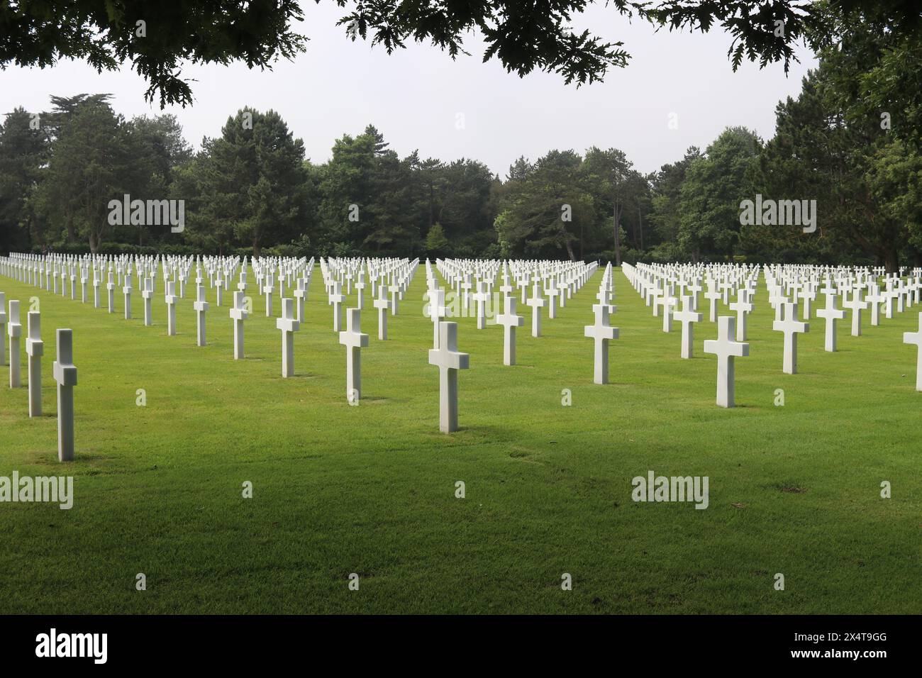 Linien von weißen Marmorkreuzen auf grünem Gras auf dem Kriegsfriedhof. Umliegende Wälder und keine sichtbaren Menschen. Stockfoto