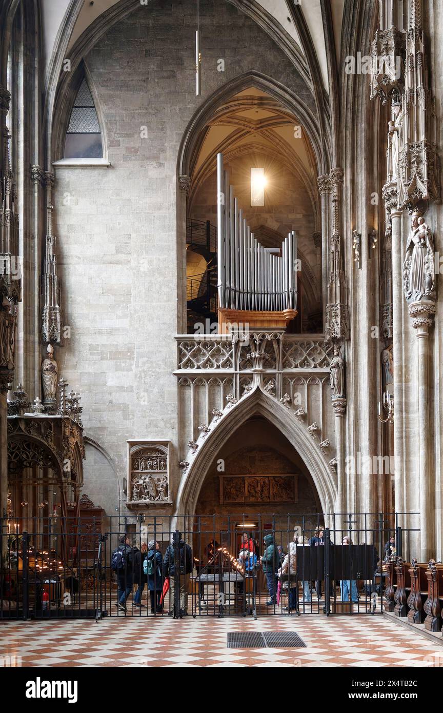 Wien, Österreich, Stephansdom. Orgel im Stephansdom Stockfoto