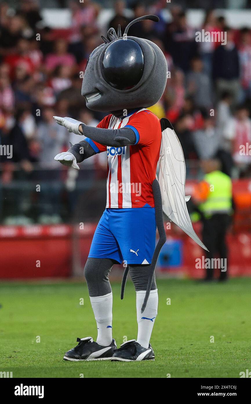 Girona, Spanien. Mai 2024. Sisa the Fly, das Maskottchen von Girona, wurde nach dem LaLiga-Spiel zwischen Girona und FC Barcelona bei den Estadi Montilivi in Girona gesehen. (Foto: Gonzales Photo/Alamy Live News Stockfoto