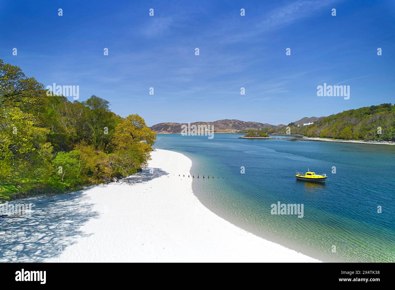 Silver Sands of Morar Highland Scotland Bäume im Frühling und Strand mit Fluss Moidart und Meer bei Flut Stockfoto