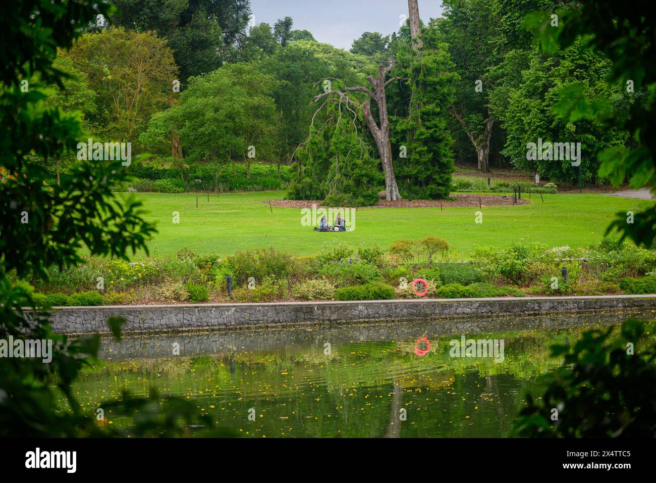 Entspannen Sie am Schwanensee im Botanischen Garten von Singapur, Singapur Stockfoto