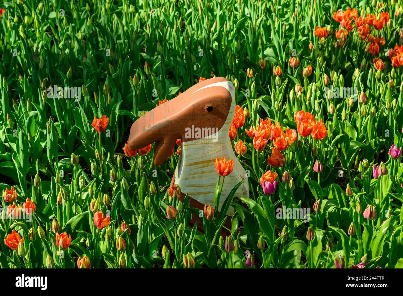 Ein hölzerner Hase im Tulipmania 2024 @ The Flower Dome, Gardens by the Bay, Singapur Stockfoto