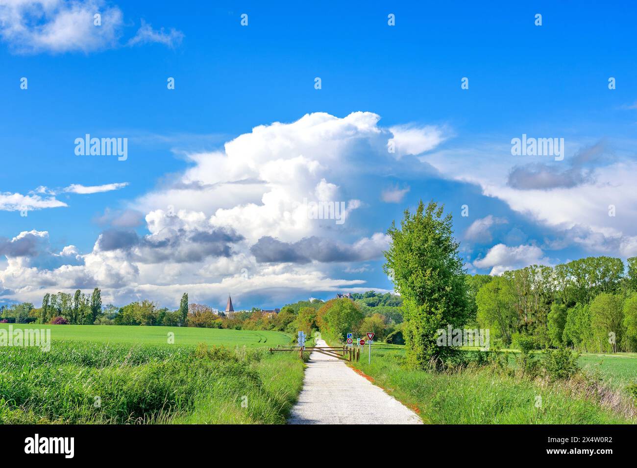 Cumulonimbus Gewitterwolken, die sich über der Süd-Touraine-Landschaft - Zentralfrankreich bilden. Stockfoto