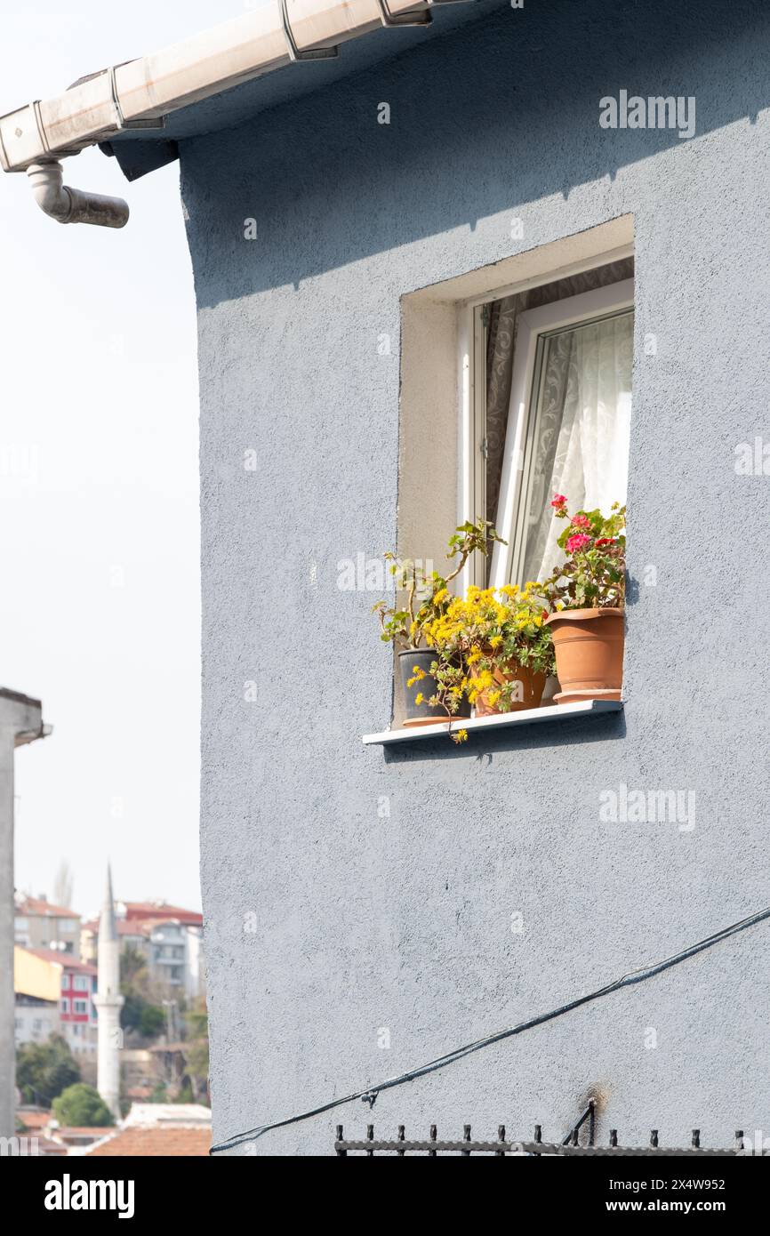 Bezaubernde Aussicht auf Blumentöpfe auf dem Balkon eines alten Istanbuler Hauses. Eine ruhige Szene mit traditioneller Architektur und friedlicher städtischer Schönheit. Stockfoto