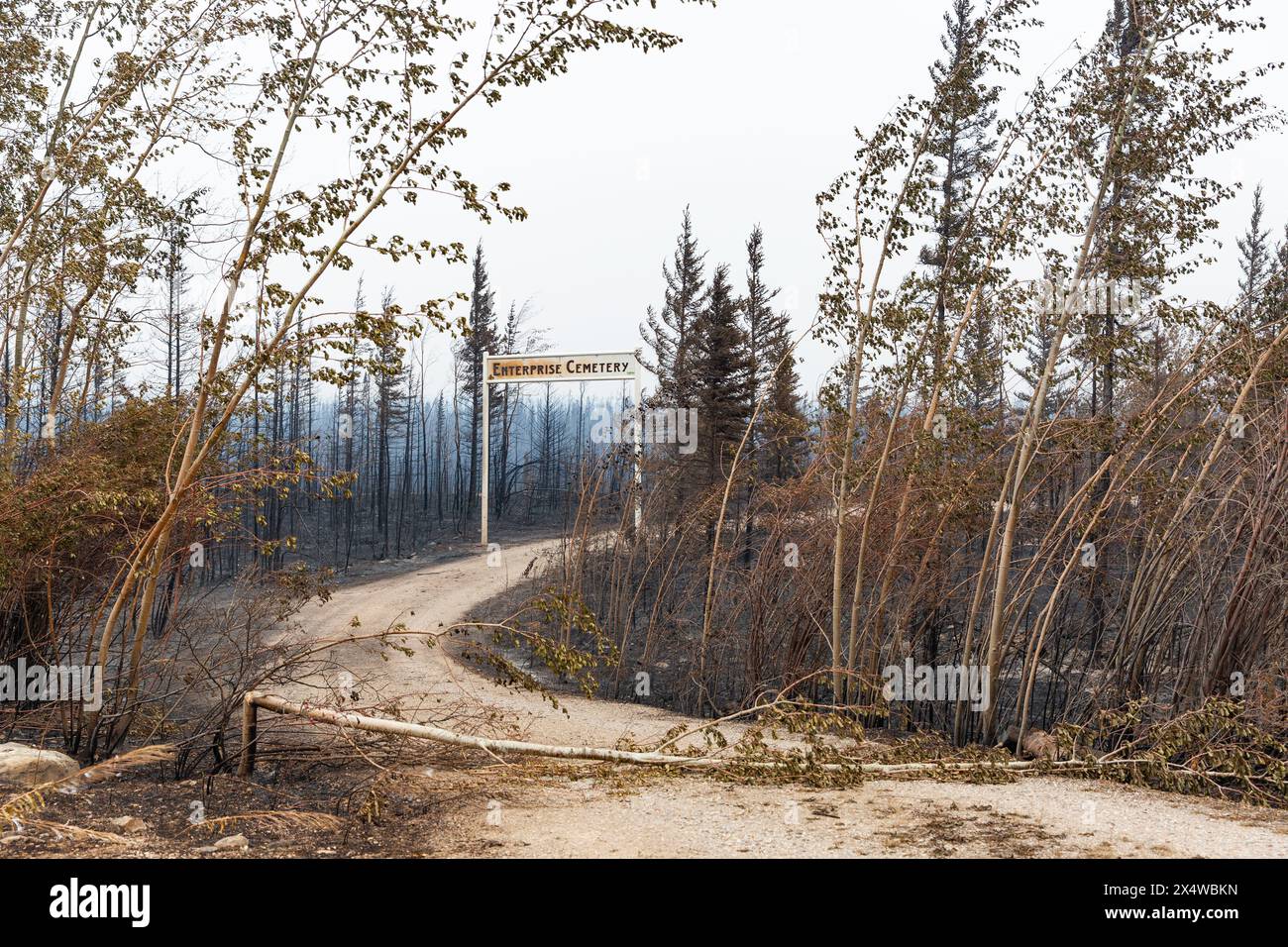 Verbrannte Bäume am Eingang des Enterprise Cemetery während des Waldbrandes und der Evakuierung in den Northwest Territories. Über 4 Millionen Hektar brannten in der Saison ab. Stockfoto