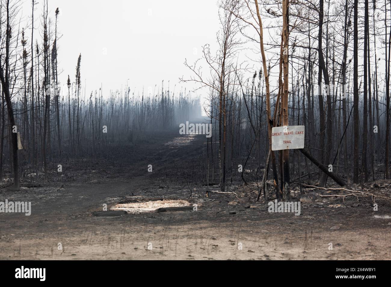 Verbrannte Bäume durch ein aktives Waldfeuer in den Northwest Territories, nahe der Gemeinde Enterprise, Great Slave Lake Trail. Über 4 Millionen Hektar verbrannten. Stockfoto