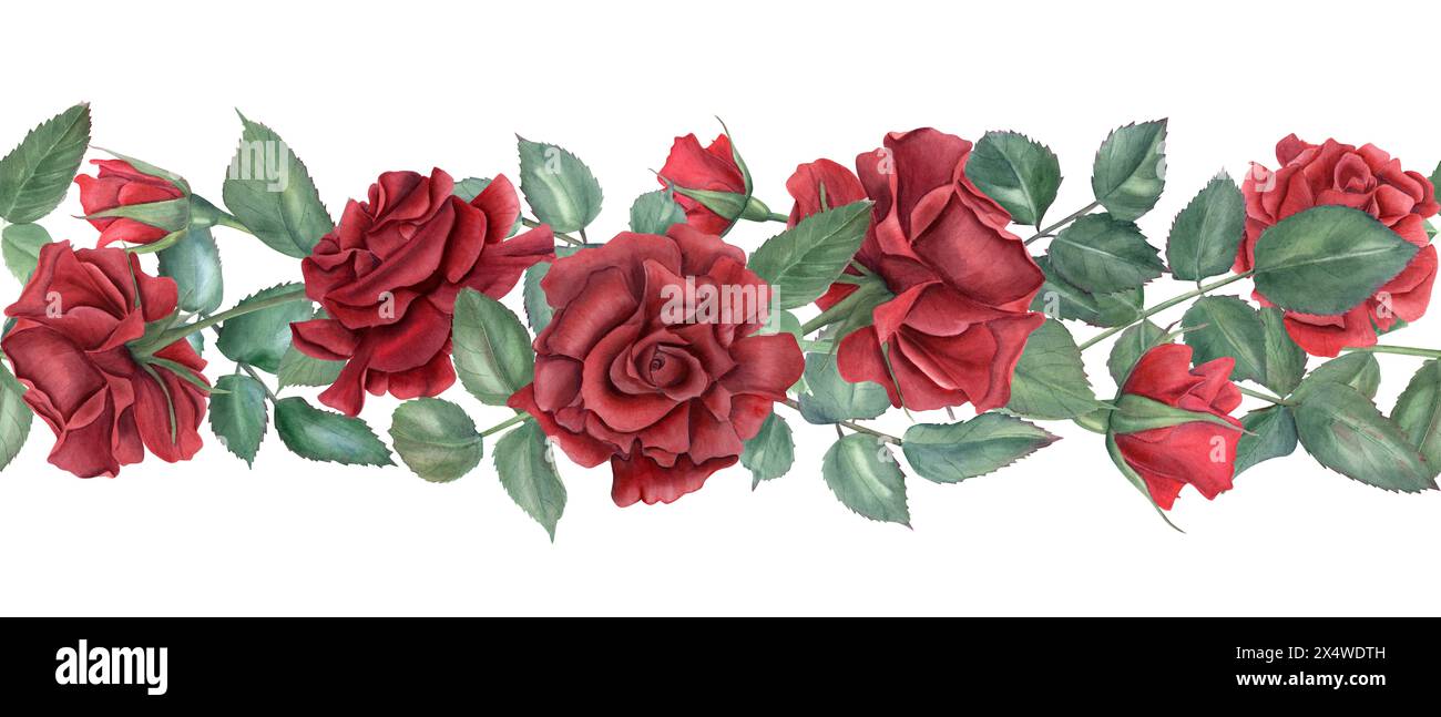 Rand mit roten Rosen. Rubinblüten und grüne Blätter. Ineinandergreifende Rosenstämme mit Knospen. Blühende Sommerpflanzen. Nahtlos verziert. Stockfoto