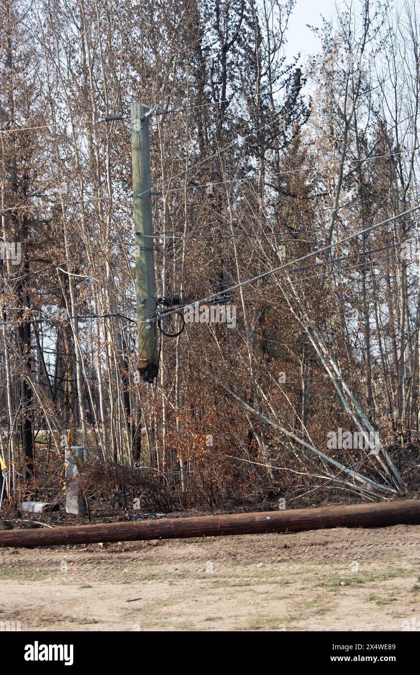 Verbrannter Strommast in Enterprise, Nordwest Territories, Kanada, nach einem verheerenden Waldbrand. 2023 brannten über 4 Millionen Hektar Wald ab. Stockfoto