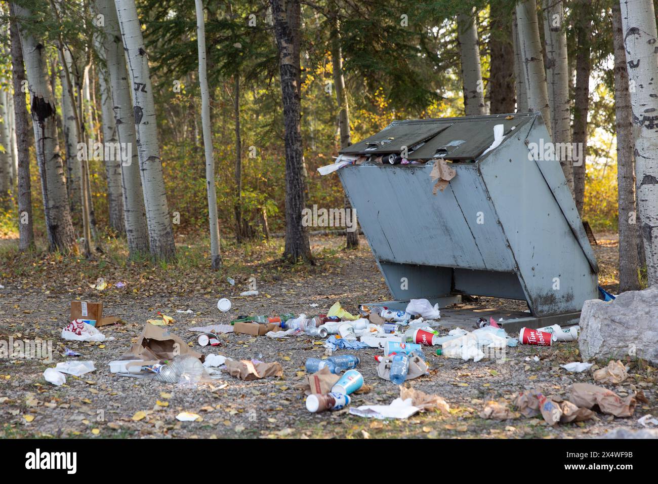 Überfüllte Mülltonnen am Straßenrand entlang des Highway 3 während der Evakuierung von Waldbränden in den Northwest Territories, Kanada. Stockfoto