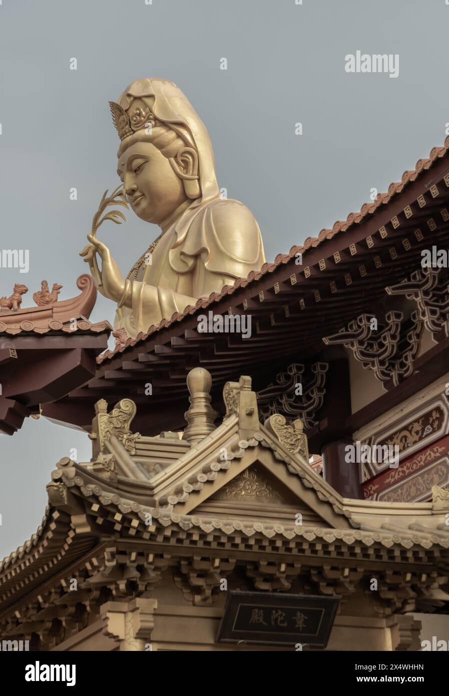 Bangkok, Thailand - 11. April 2024 - große goldene Statue Göttin der Barmherzigkeit Guanyin oder Quan Yin Statue im Fo Guang Shan Thaihua Tempel. Guan Yin Buddha, Tai Stockfoto