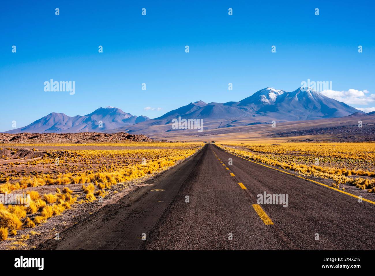 Typische chilenische Altiplano-Landschaft in der Nähe von San Pedro de Atacama, Chile. Stockfoto