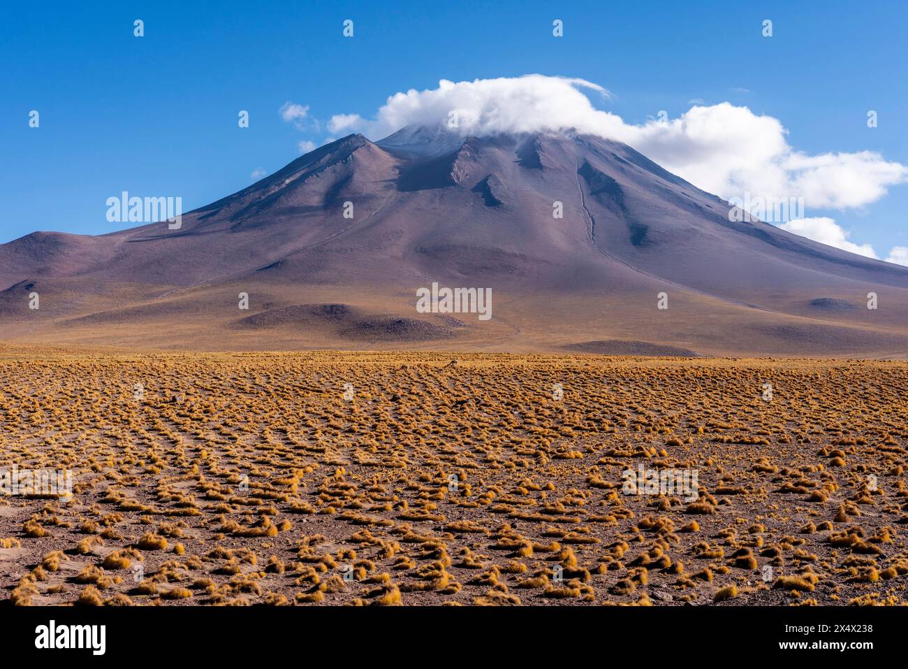 Typische chilenische Altiplano-Landschaft in der Nähe von San Pedro de Atacama, Chile. Stockfoto