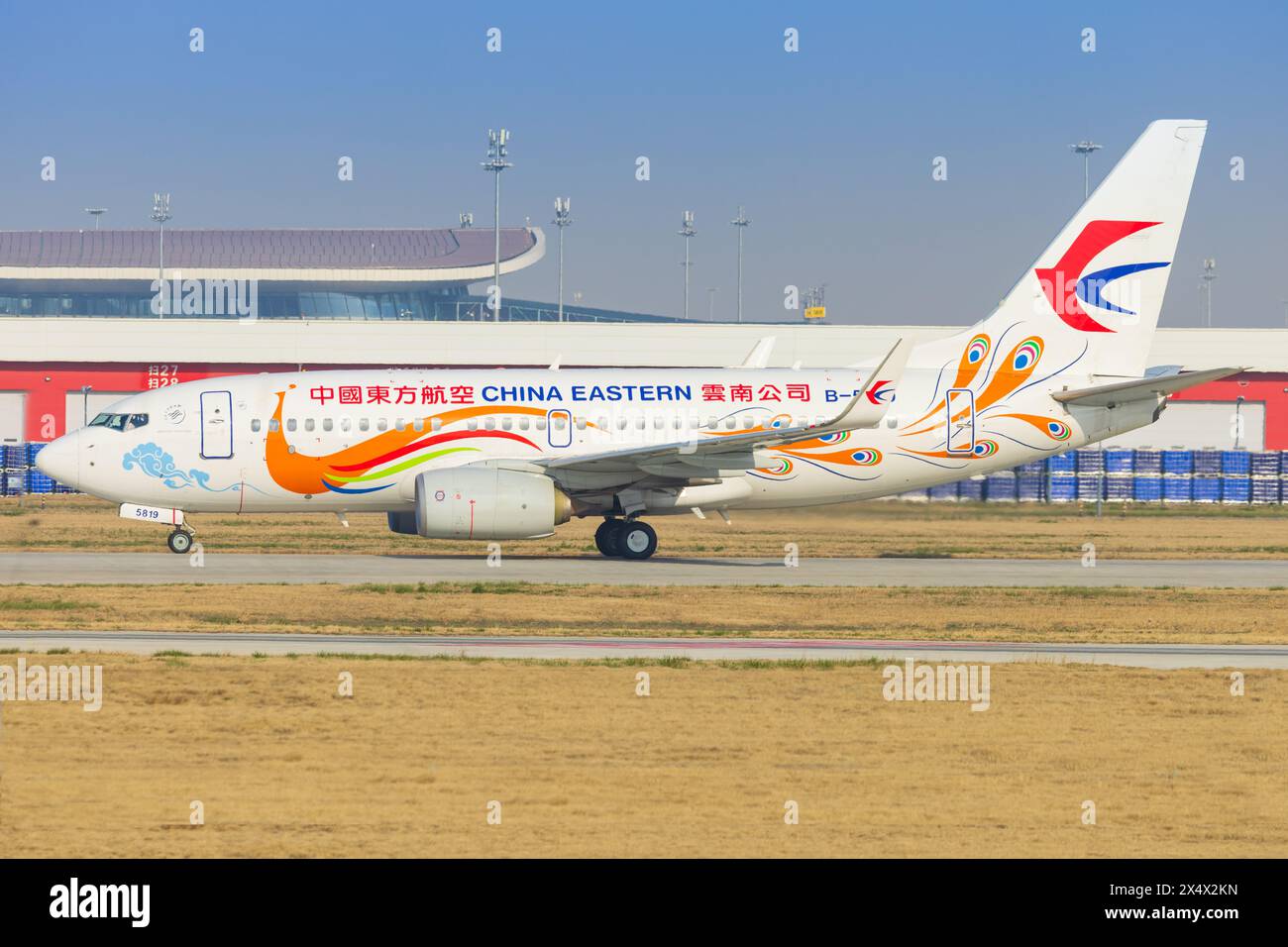 China Boeing 737 Flugzeuge mit Yunnan Pfau (orange) am Flughafen Shanghai in China im April 2024 Stockfoto