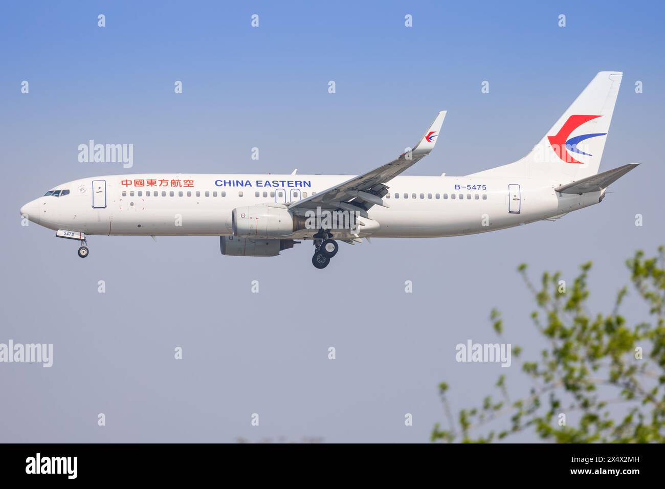 Boeing 737 von China Airliners am Flughafen Shanghai Hongqiao in China im April 2024 Stockfoto