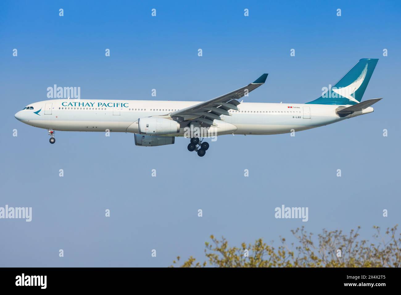 Cathay A330 von Shenzhen Airliners am Shanghai Hongqiao Airport in China im April 2024 Stockfoto