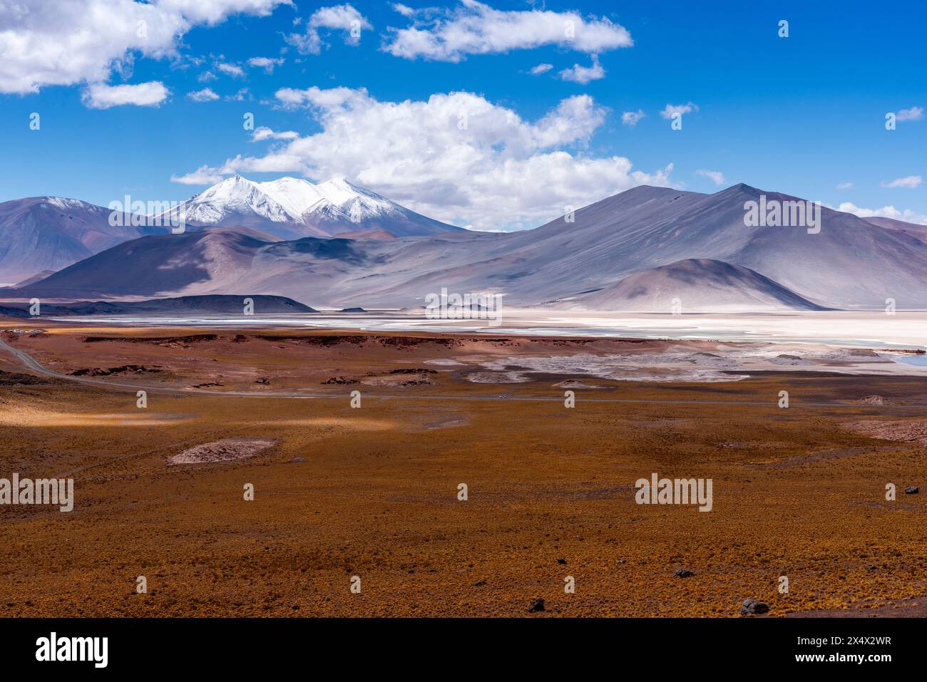 Typische chilenische Altiplano-Landschaft in der Nähe von San Pedro de Atacama, Chile. Stockfoto