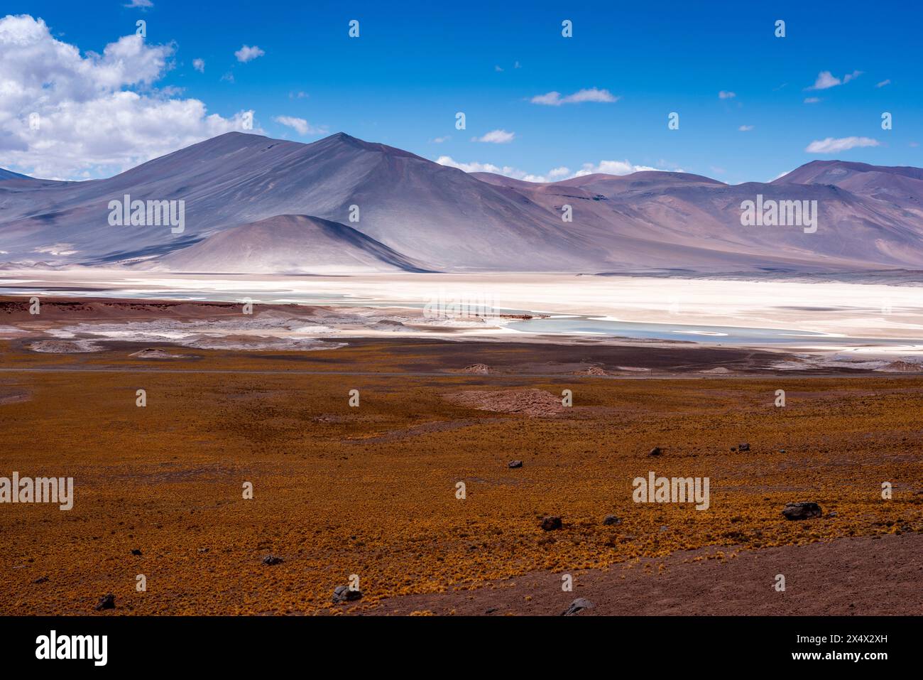 Salar de Aguas Calientes (Salzgebiete), in der Nähe von San Pedro de Atacama, Chile. Stockfoto