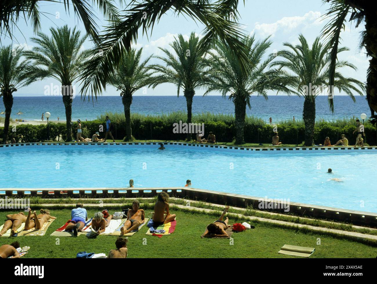 SPANIEN IBIZA HOTEL POOL mit Palmen vor dem Strand kühle Atmosphäre Stockfoto
