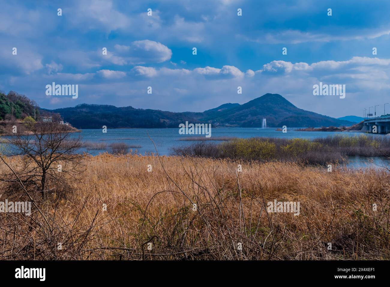 Ruhiger Seeblick mit trockenem Gras im Vordergrund und einem entfernten Brunnen, in Südkorea Stockfoto