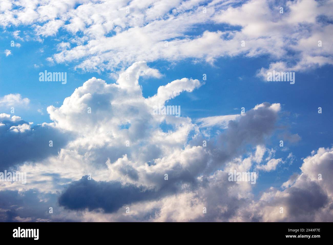 Weiße Cumulus Wolken auf einem blauen Himmel. Schöner Naturhintergrund im Abendlicht Stockfoto