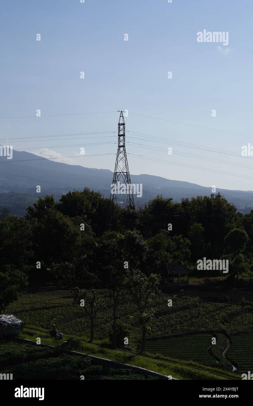 Signalverstärkungsturm in der Mitte der Bäume mit einem Berg dahinter und einem klaren Himmel am Morgen Stockfoto