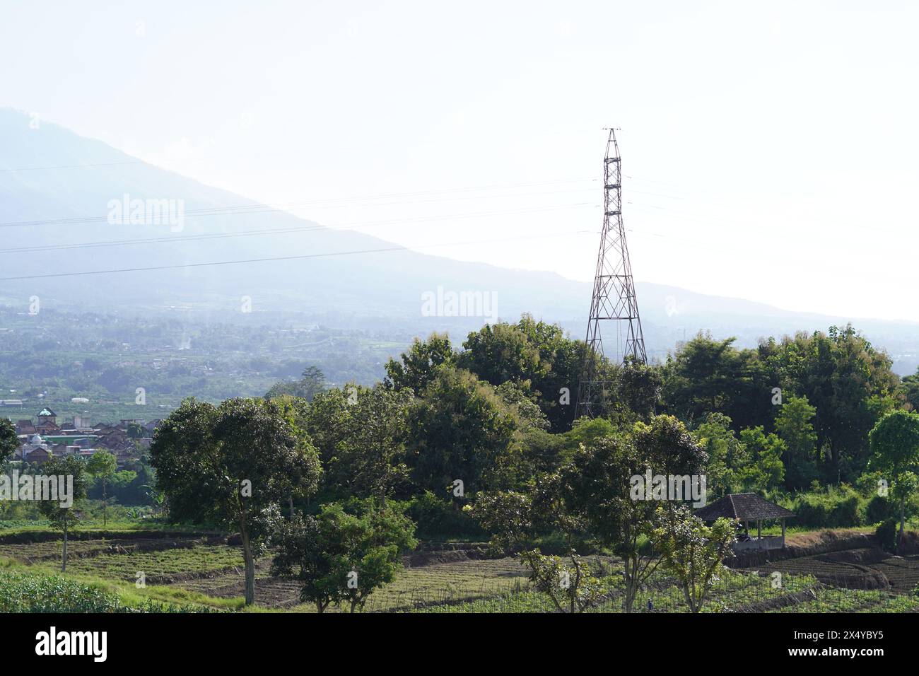 Signalverstärkungsturm in der Mitte der Bäume mit einem Berg dahinter und einem klaren Himmel am Morgen Stockfoto