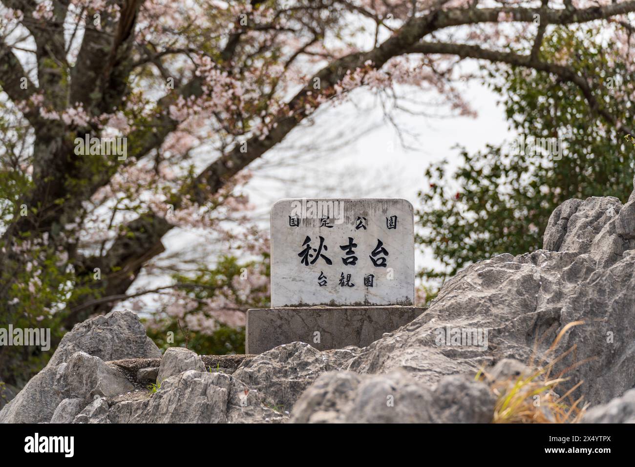 Akiyoshidai Karstplateau. Akiyoshidai Quasi-Nationalpark. Präfektur Yamaguchi, Japan. Stockfoto