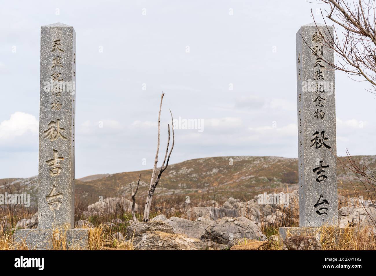 Akiyoshidai Karstplateau. Akiyoshidai Quasi-Nationalpark. Präfektur Yamaguchi, Japan. Stockfoto