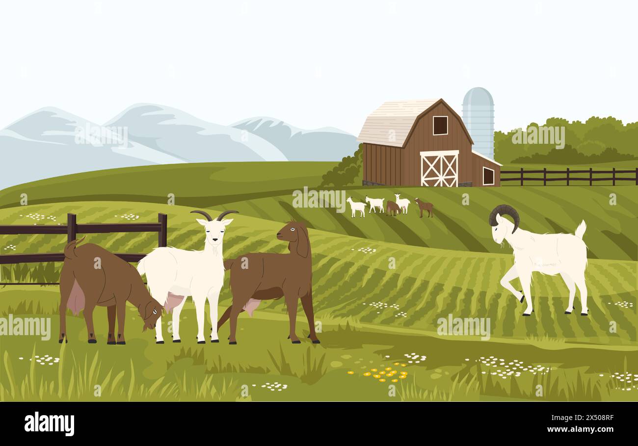 Ziegenfarm. Bauernhof mit Milchtieren, Hütte mit männlichen und weiblichen Ziegen, Bio-Bauernhof für Milchmilchproduktion Stock Vektor